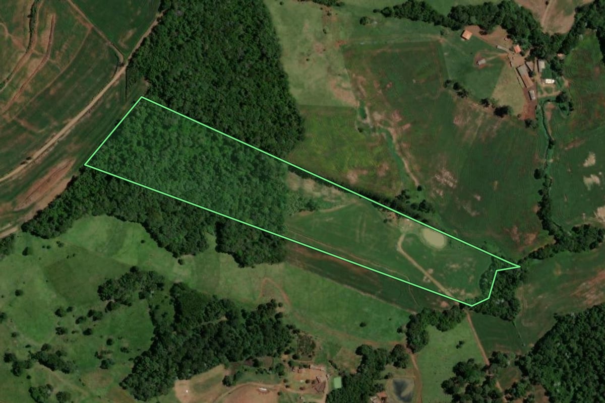 Imagem de satélite do imóvel rural em Enéas Marques (PR), com o contorno declarado no CAR desenhado por cima.