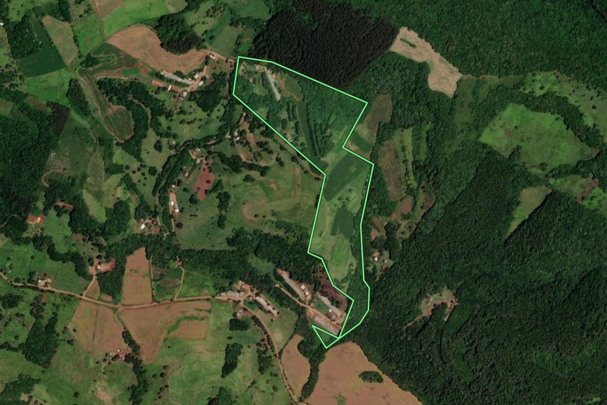 Imagem de satélite do imóvel rural em Enéas Marques (PR), com o contorno declarado no CAR desenhado por cima.