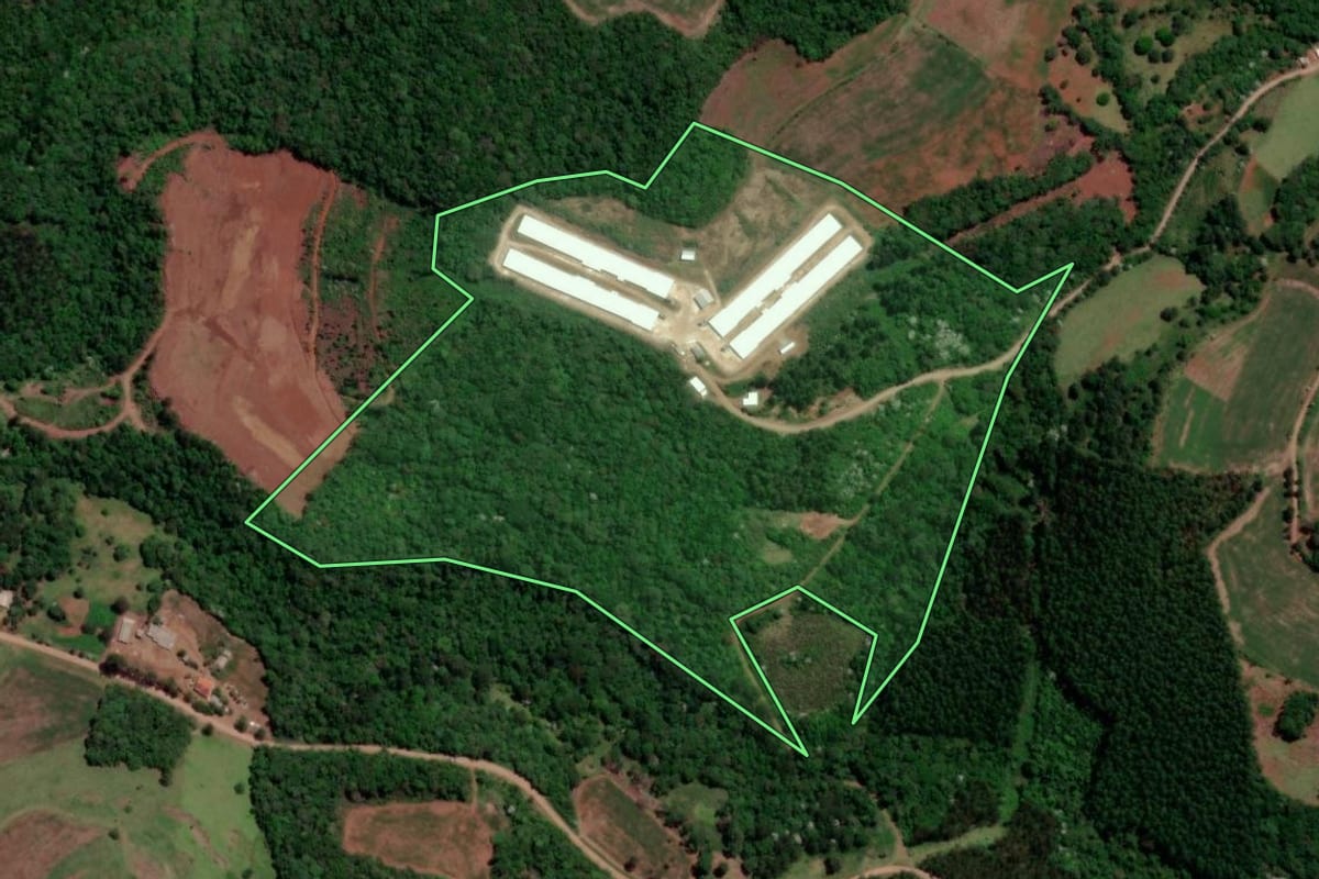 Imagem de satélite do imóvel rural em Enéas Marques (PR), com o contorno declarado no CAR desenhado por cima.