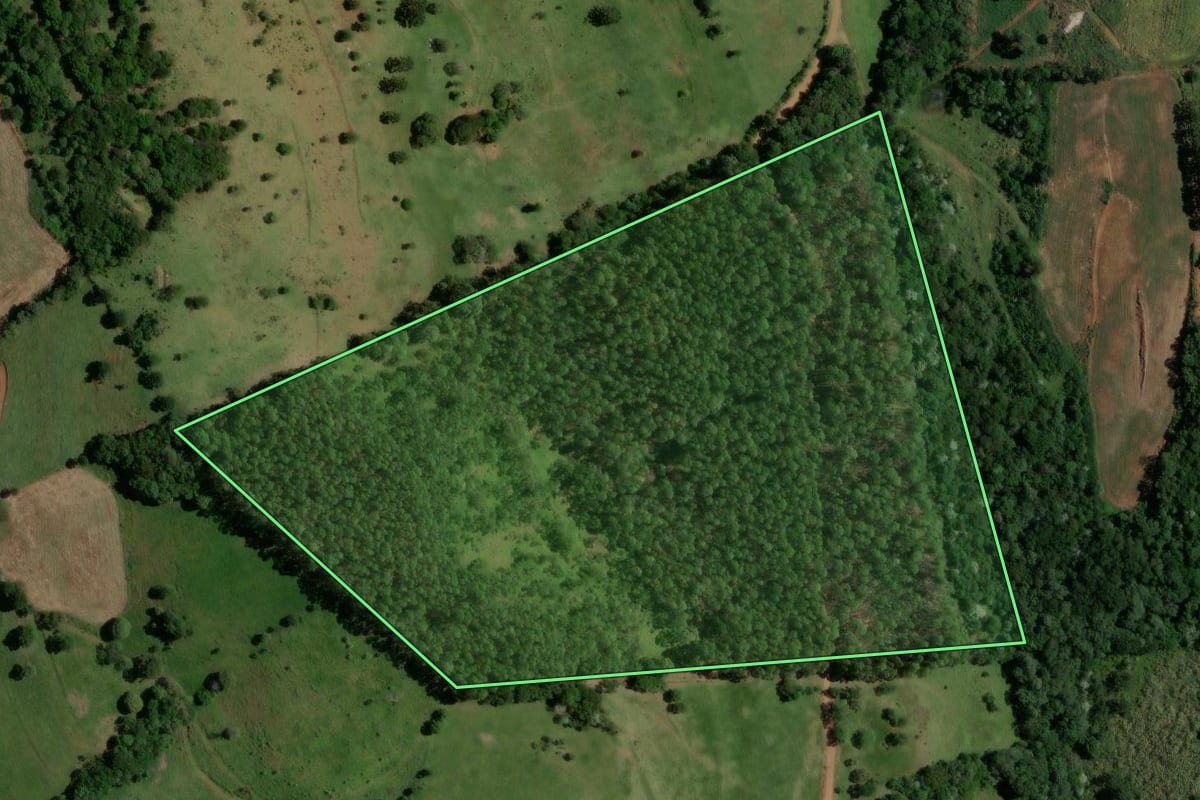 Imagem de satélite do imóvel rural em Enéas Marques (PR), com o contorno declarado no CAR desenhado por cima.