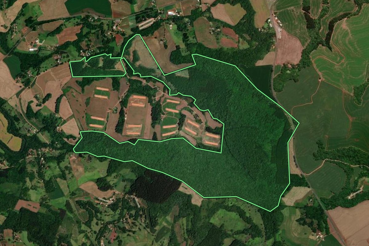 Imagem de satélite do imóvel rural em Enéas Marques (PR), com o contorno declarado no CAR desenhado por cima.