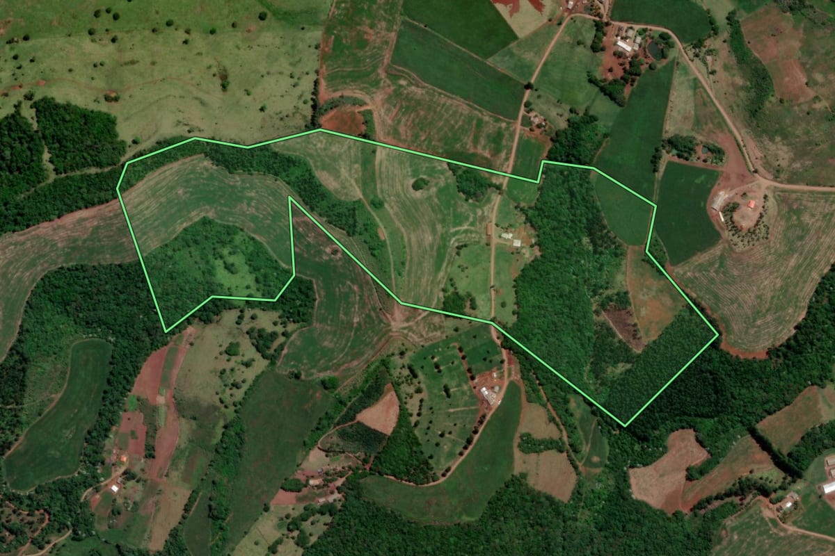 Imagem de satélite do imóvel rural em Enéas Marques (PR), com o contorno declarado no CAR desenhado por cima.