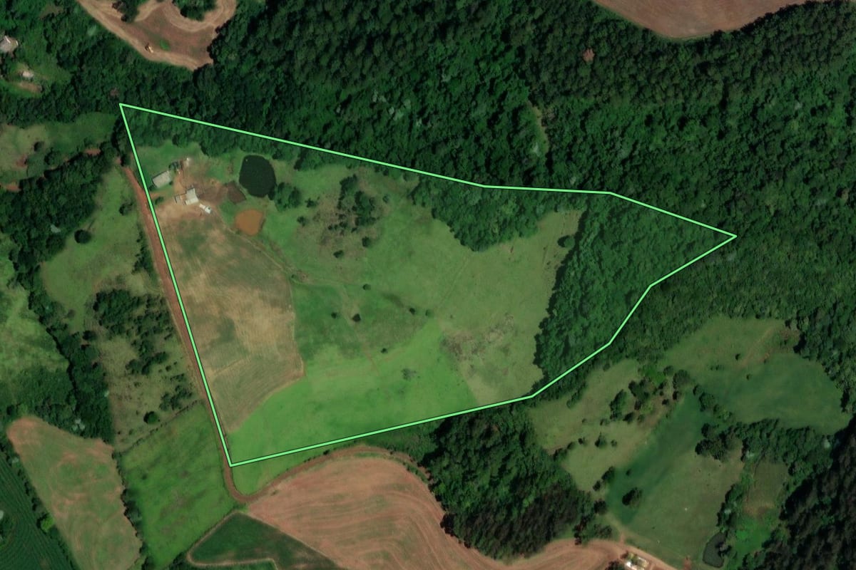 Imagem de satélite do imóvel rural em Enéas Marques (PR), com o contorno declarado no CAR desenhado por cima.