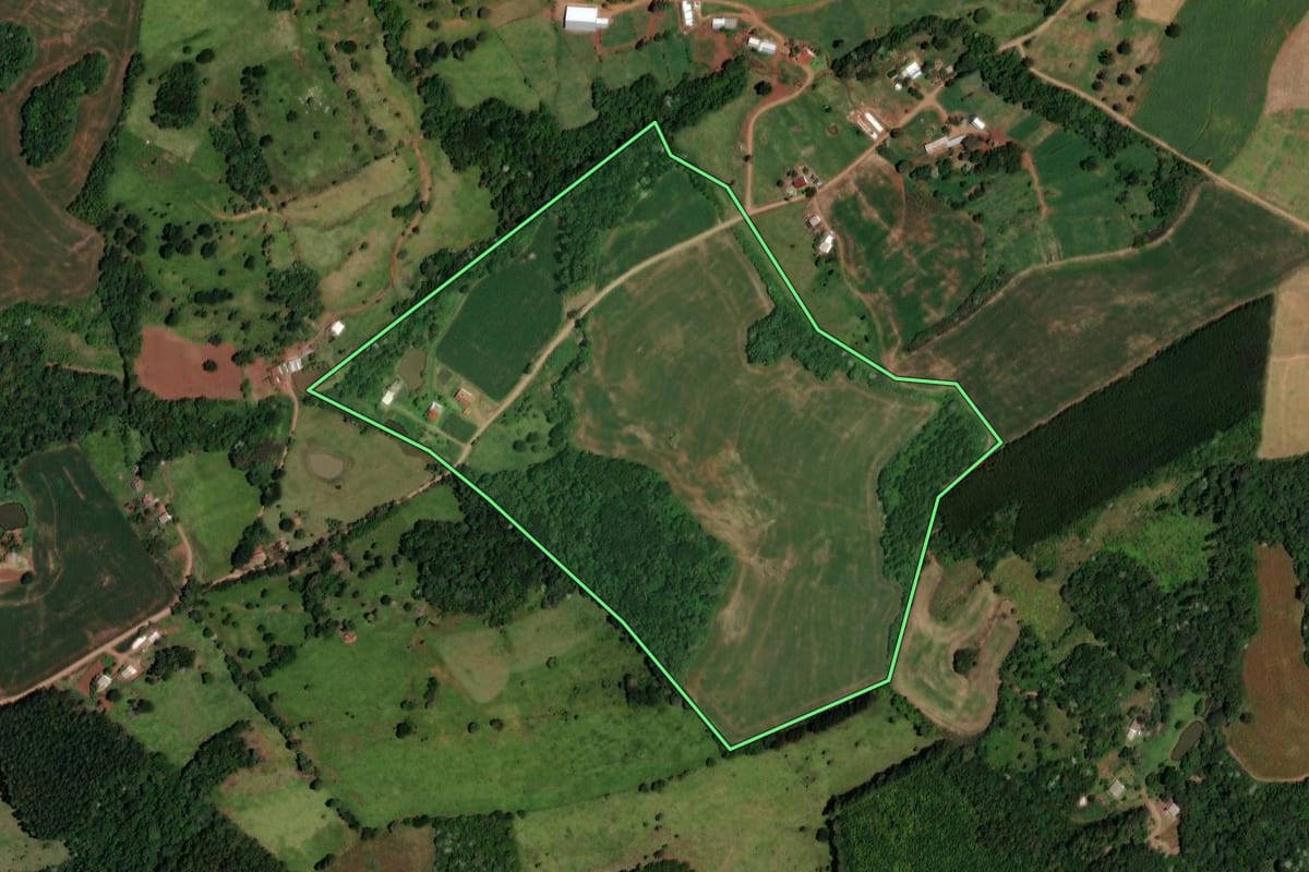 Imagem de satélite do imóvel rural em Enéas Marques (PR), com o contorno declarado no CAR desenhado por cima.