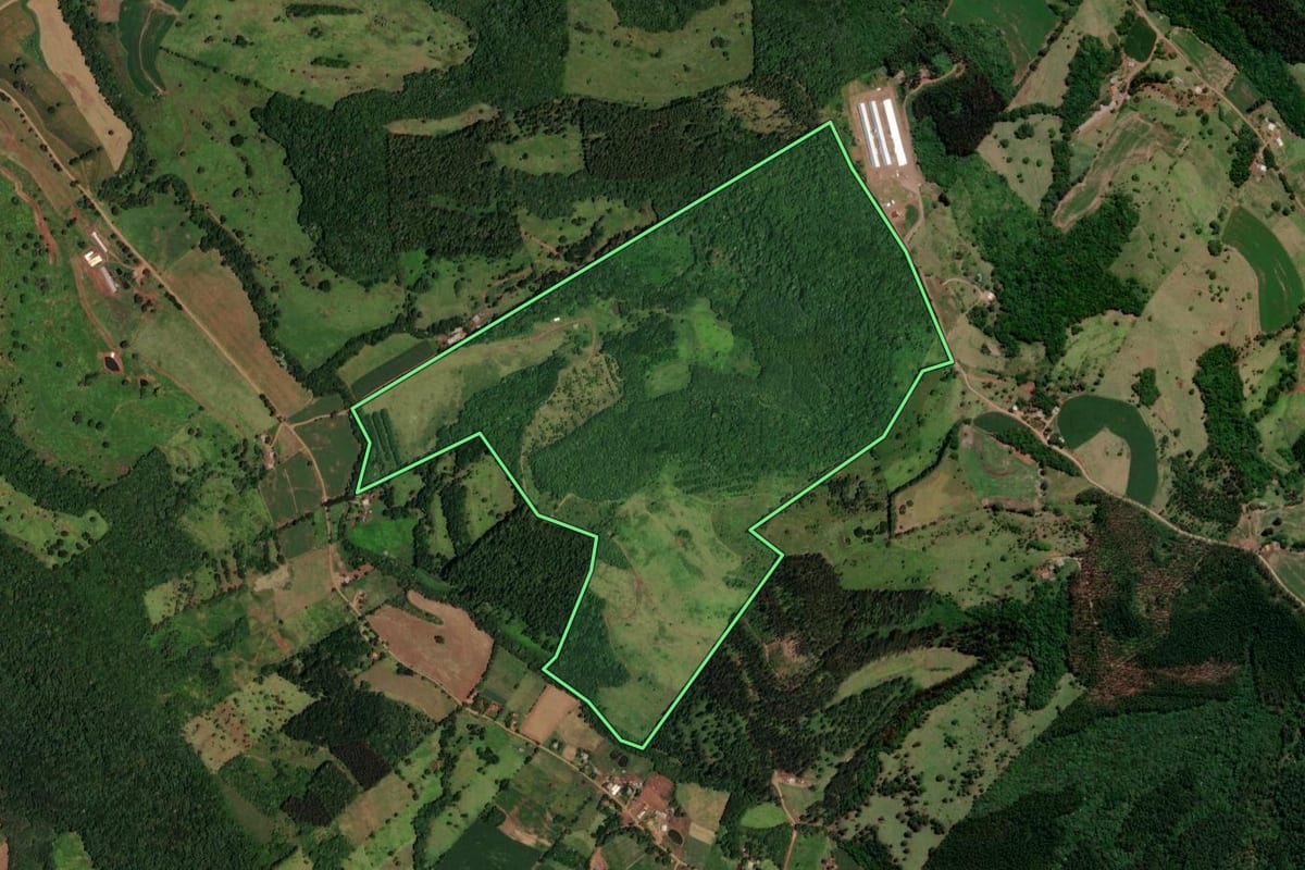 Imagem de satélite do imóvel rural em Enéas Marques (PR), com o contorno declarado no CAR desenhado por cima.