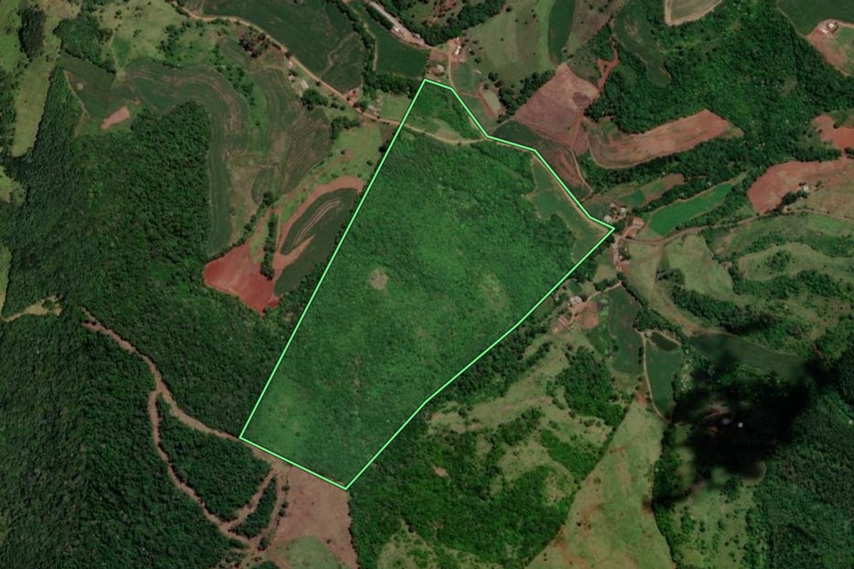 Imagem de satélite do imóvel rural em Enéas Marques (PR), com o contorno declarado no CAR desenhado por cima.