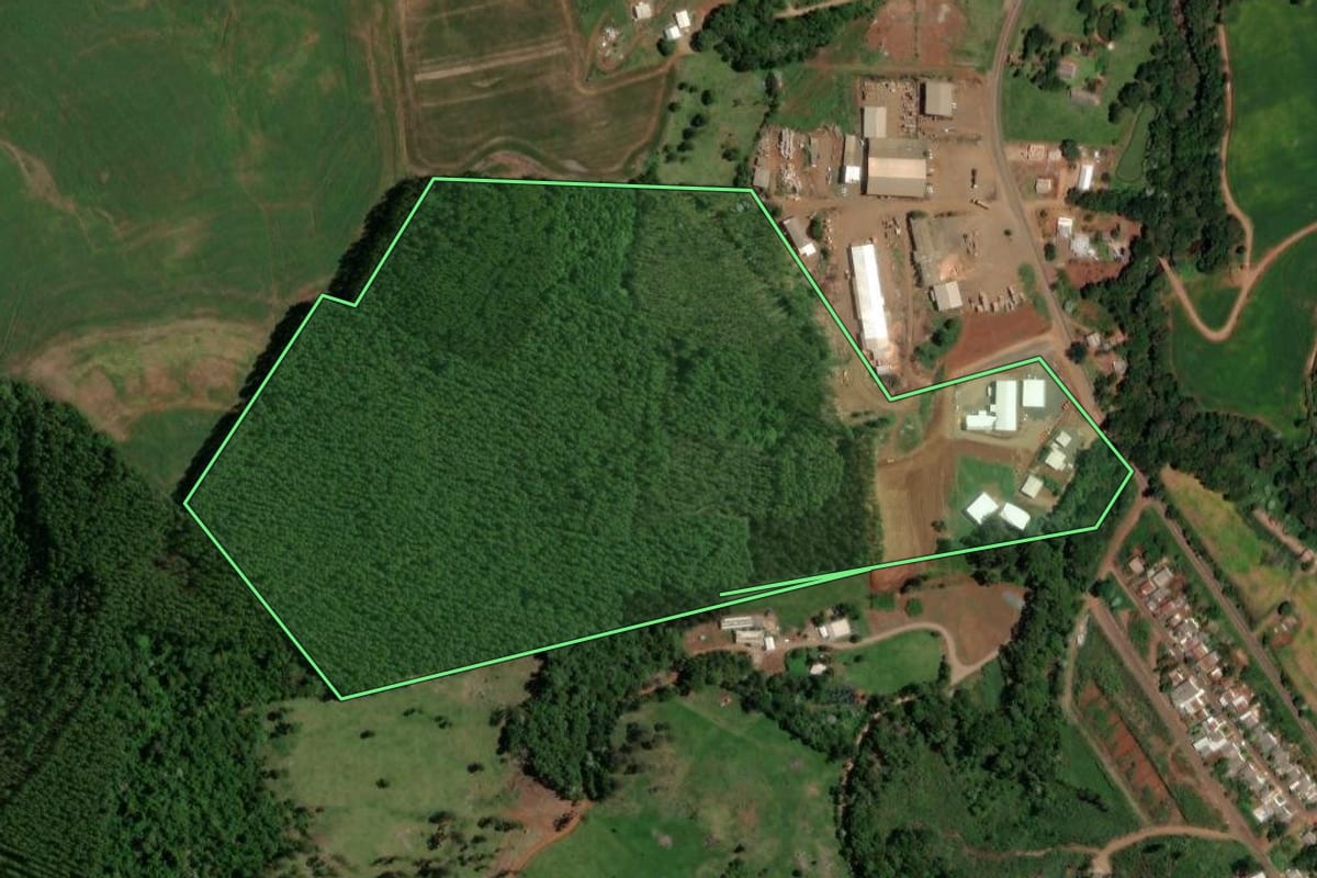 Imagem de satélite do imóvel rural em Enéas Marques (PR), com o contorno declarado no CAR desenhado por cima.