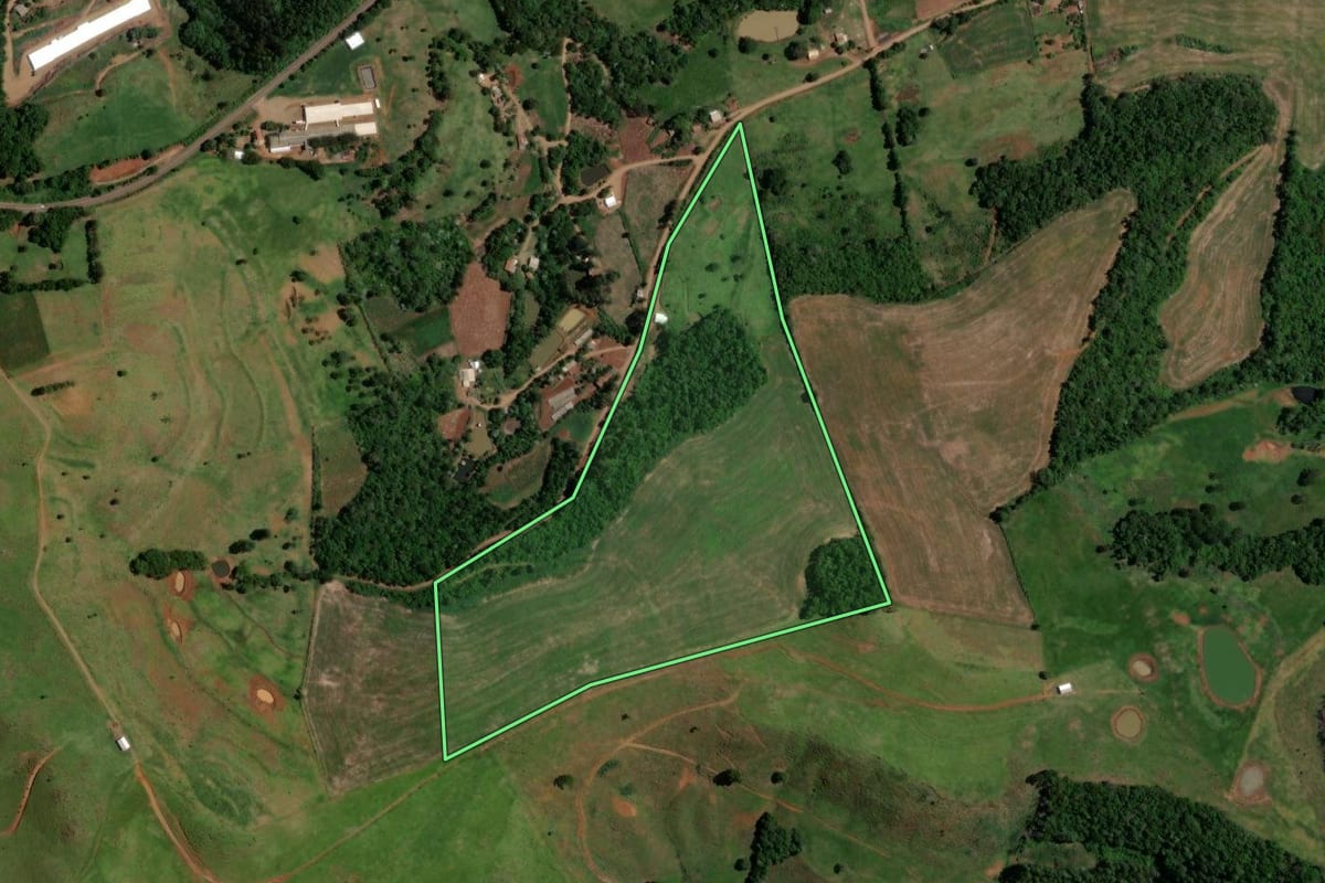Imagem de satélite do imóvel rural em Enéas Marques (PR), com o contorno declarado no CAR desenhado por cima.