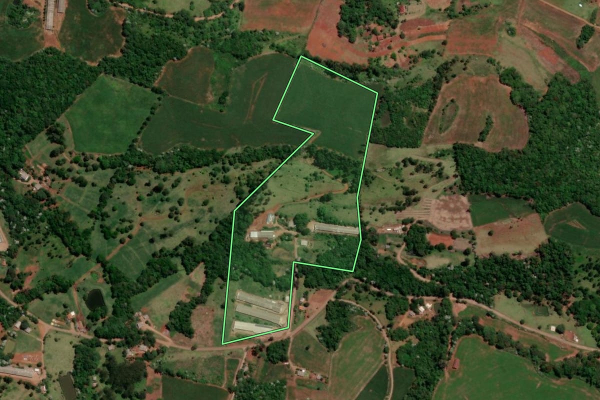 Imagem de satélite do imóvel rural em Enéas Marques (PR), com o contorno declarado no CAR desenhado por cima.