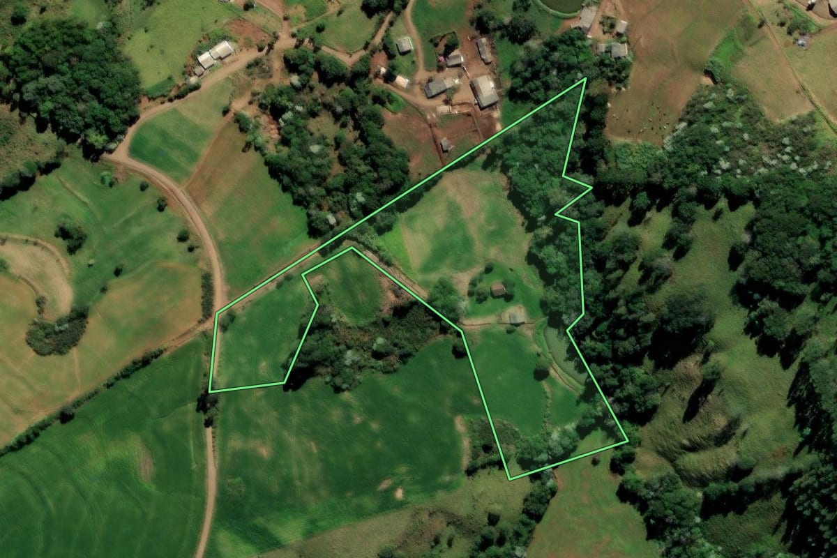 Imagem de satélite do imóvel rural em Enéas Marques (PR), com o contorno declarado no CAR desenhado por cima.