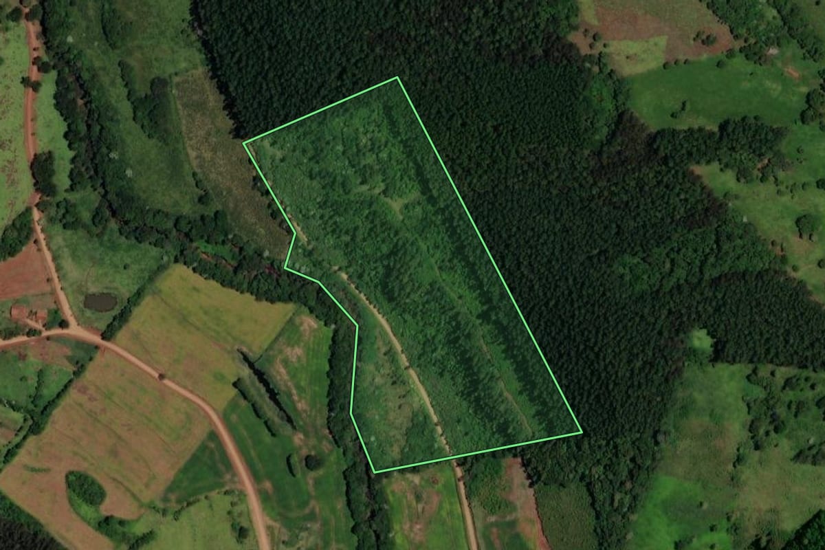 Imagem de satélite do imóvel rural em Enéas Marques (PR), com o contorno declarado no CAR desenhado por cima.