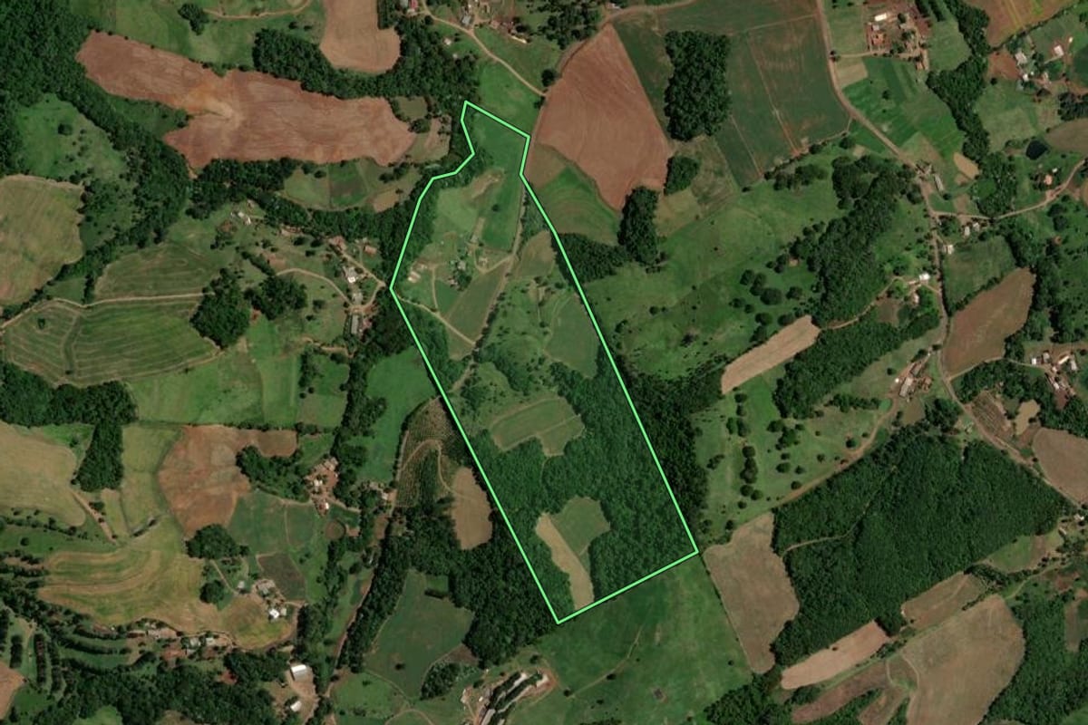 Imagem de satélite do imóvel rural em Enéas Marques (PR), com o contorno declarado no CAR desenhado por cima.