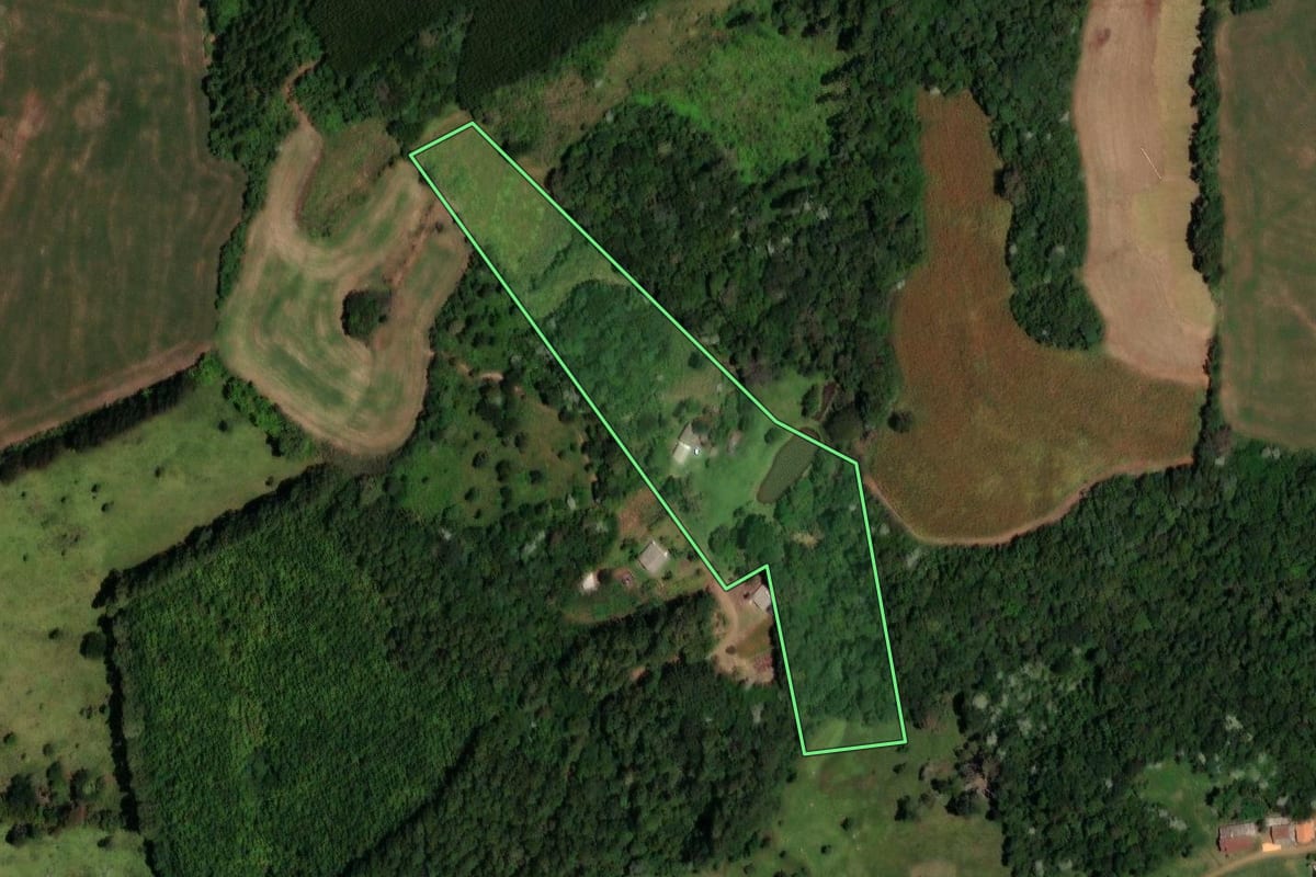 Imagem de satélite do imóvel rural em Enéas Marques (PR), com o contorno declarado no CAR desenhado por cima.