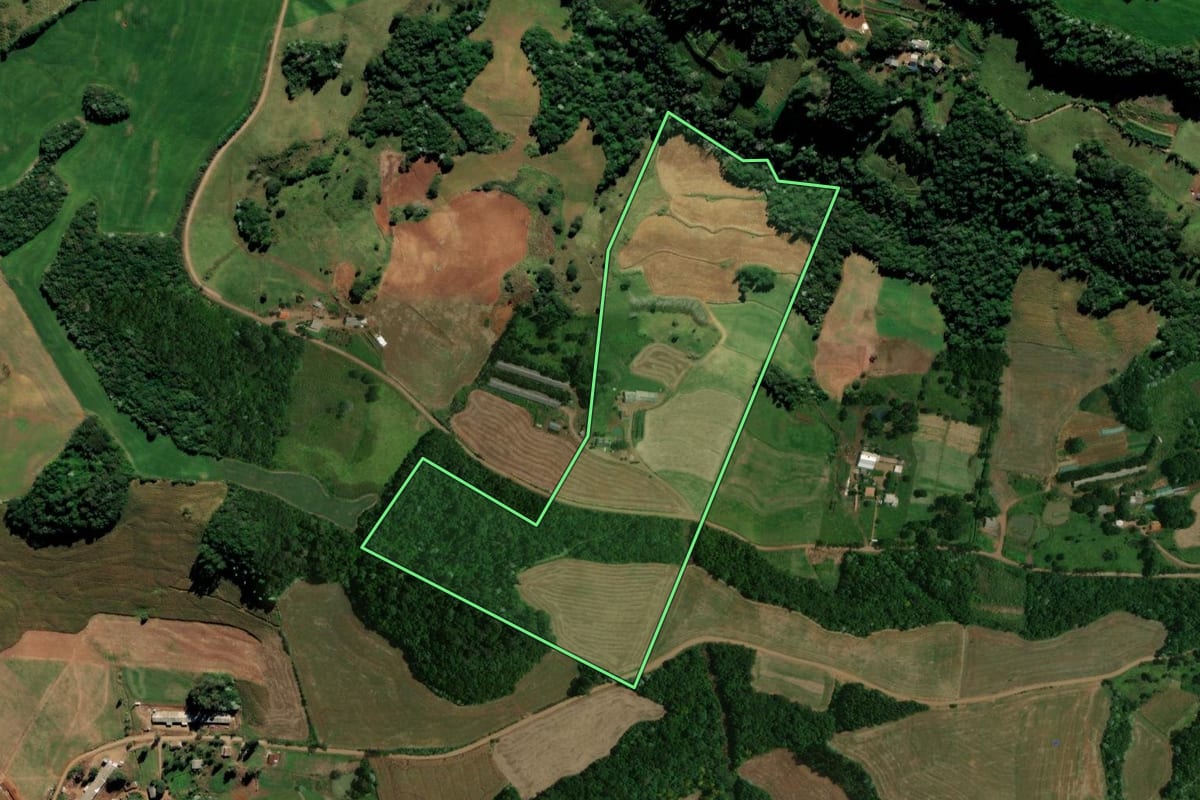 Imagem de satélite do imóvel rural em Enéas Marques (PR), com o contorno declarado no CAR desenhado por cima.