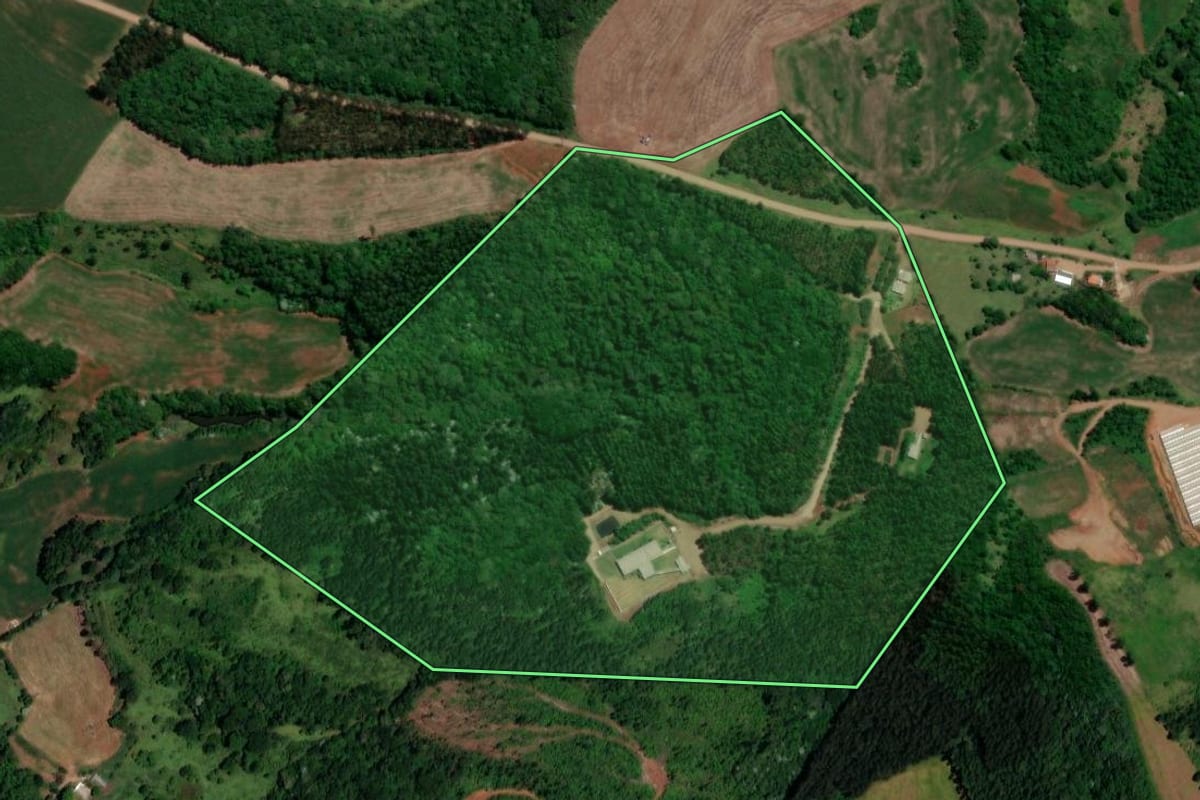 Imagem de satélite do imóvel rural em Enéas Marques (PR), com o contorno declarado no CAR desenhado por cima.