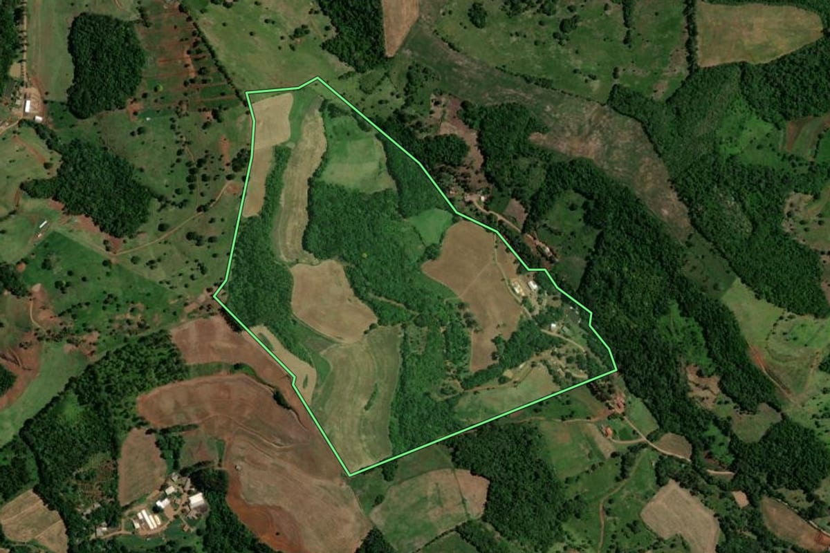 Imagem de satélite do imóvel rural em Enéas Marques (PR), com o contorno declarado no CAR desenhado por cima.