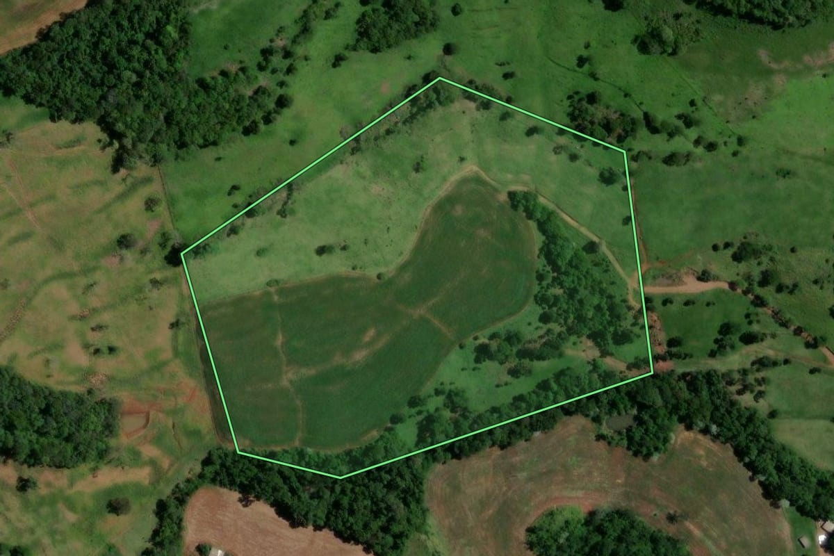 Imagem de satélite do imóvel rural em Enéas Marques (PR), com o contorno declarado no CAR desenhado por cima.
