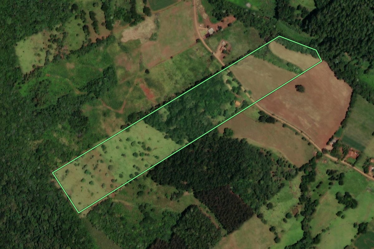 Imagem de satélite do imóvel rural em Enéas Marques (PR), com o contorno declarado no CAR desenhado por cima.