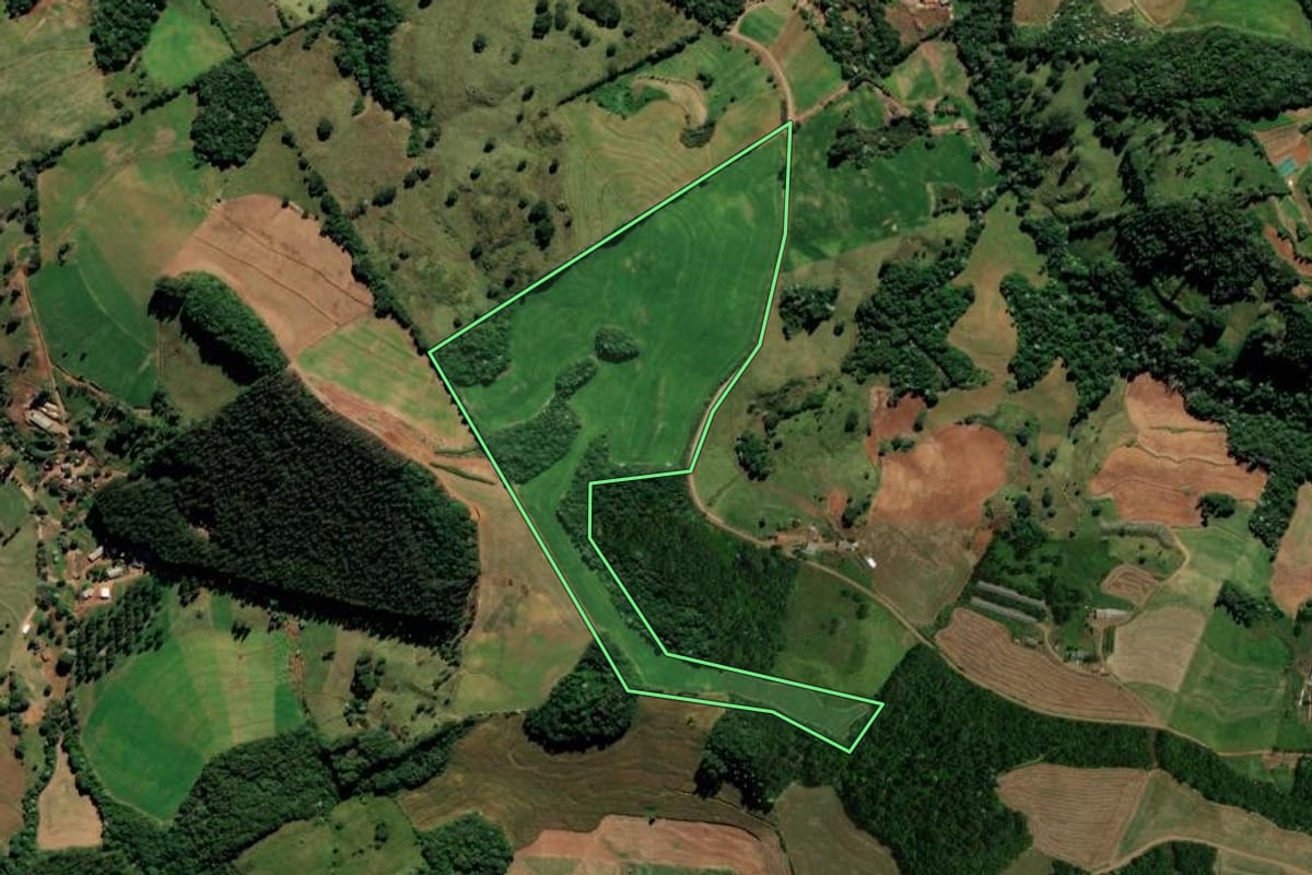Imagem de satélite do imóvel rural em Enéas Marques (PR), com o contorno declarado no CAR desenhado por cima.