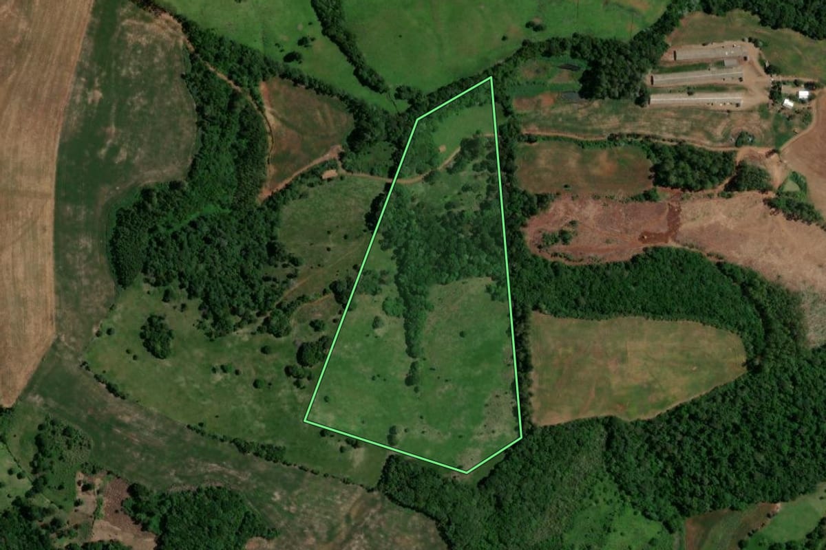 Imagem de satélite do imóvel rural em Enéas Marques (PR), com o contorno declarado no CAR desenhado por cima.