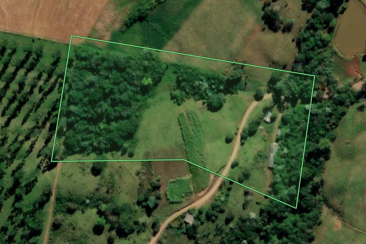 Imagem de satélite do imóvel rural em Enéas Marques (PR), com o contorno declarado no CAR desenhado por cima.