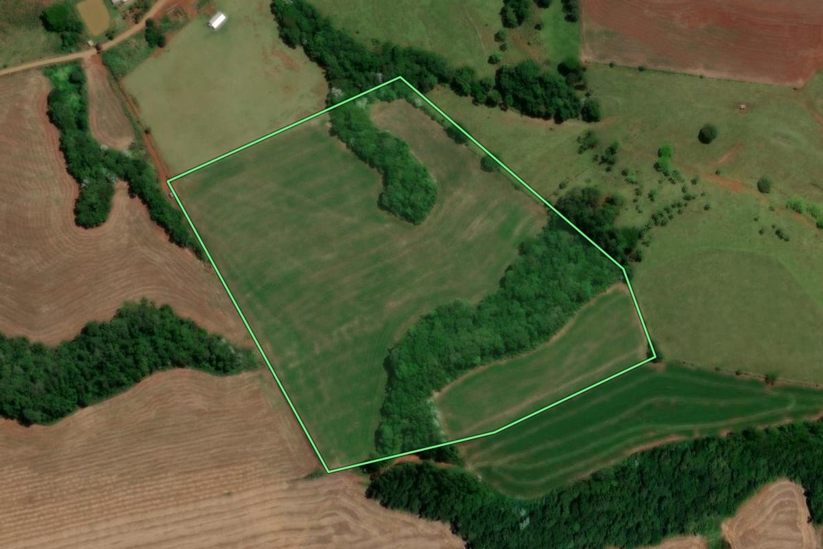 Imagem de satélite do imóvel rural em Enéas Marques (PR), com o contorno declarado no CAR desenhado por cima.