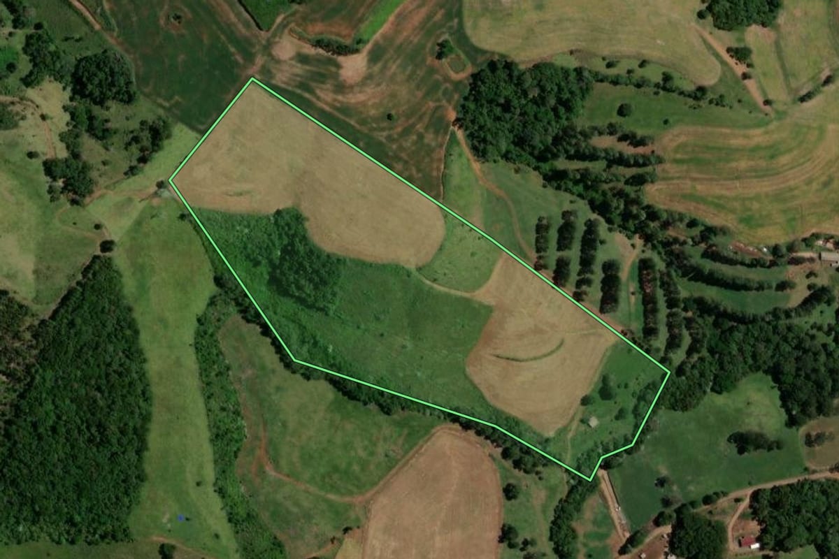 Imagem de satélite do imóvel rural em Enéas Marques (PR), com o contorno declarado no CAR desenhado por cima.