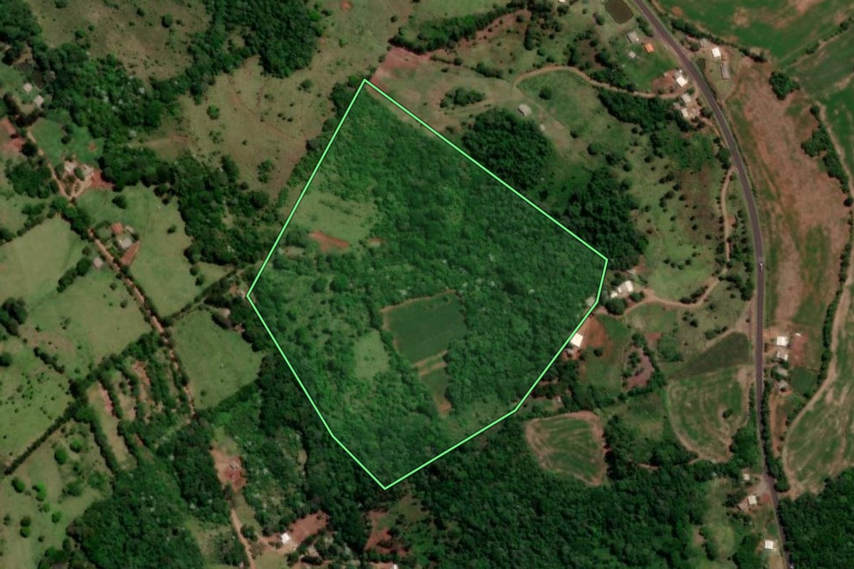 Imagem de satélite do imóvel rural em Enéas Marques (PR), com o contorno declarado no CAR desenhado por cima.