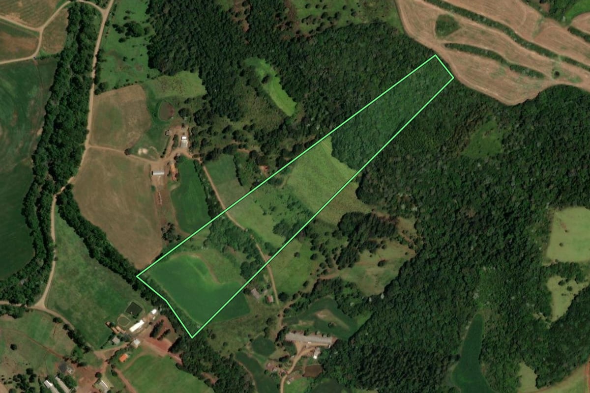 Imagem de satélite do imóvel rural em Enéas Marques (PR), com o contorno declarado no CAR desenhado por cima.