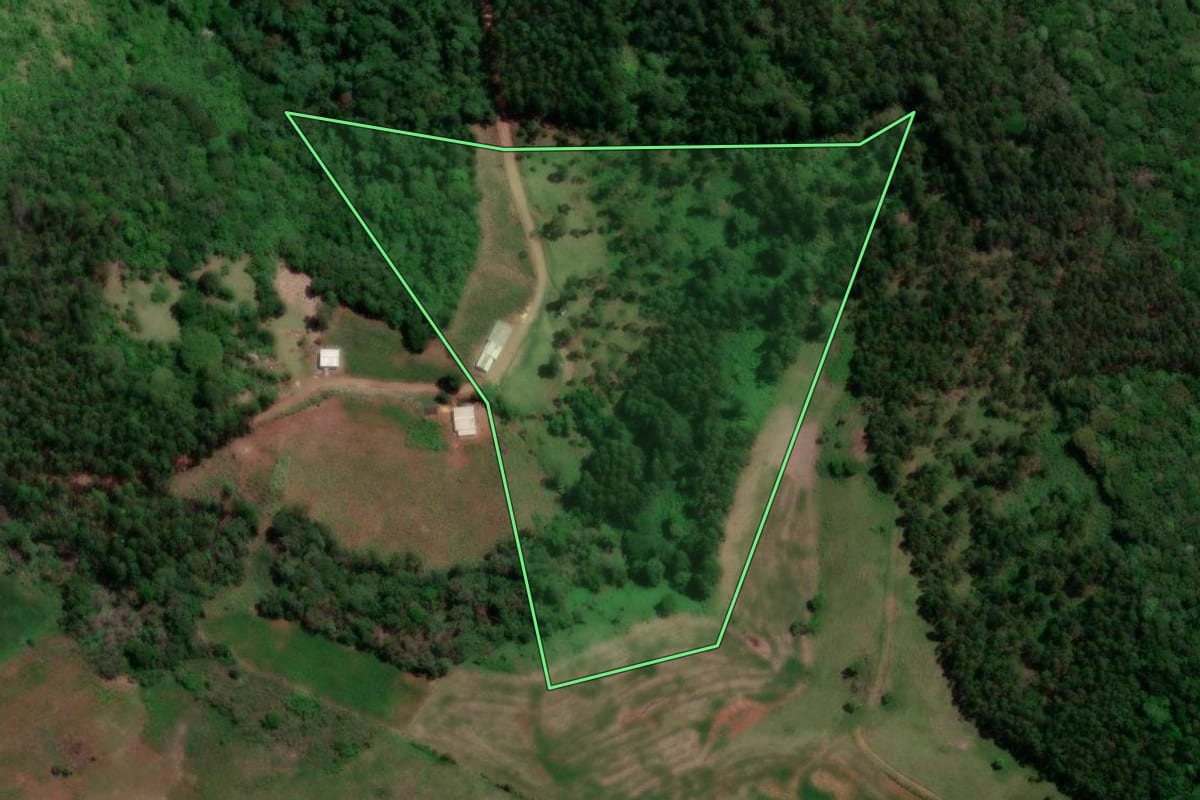 Imagem de satélite do imóvel rural em Enéas Marques (PR), com o contorno declarado no CAR desenhado por cima.