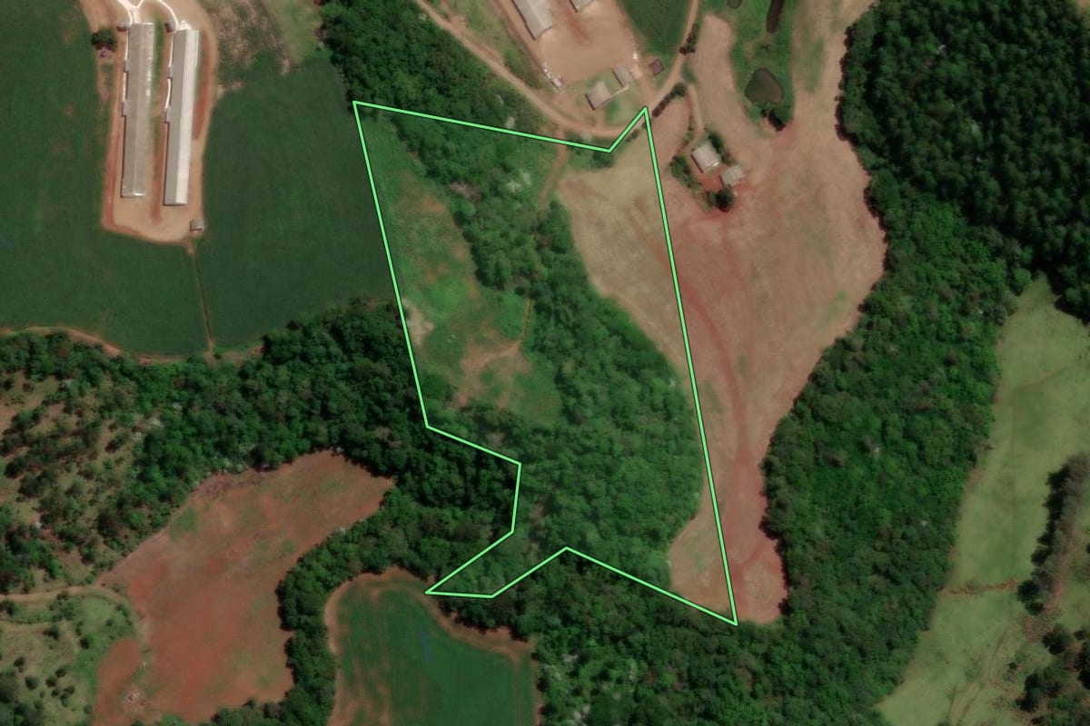 Imagem de satélite do imóvel rural em Enéas Marques (PR), com o contorno declarado no CAR desenhado por cima.