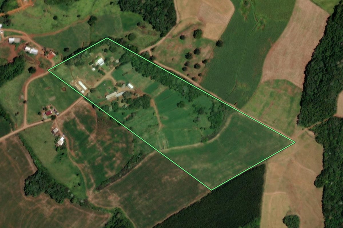 Imagem de satélite do imóvel rural em Enéas Marques (PR), com o contorno declarado no CAR desenhado por cima.