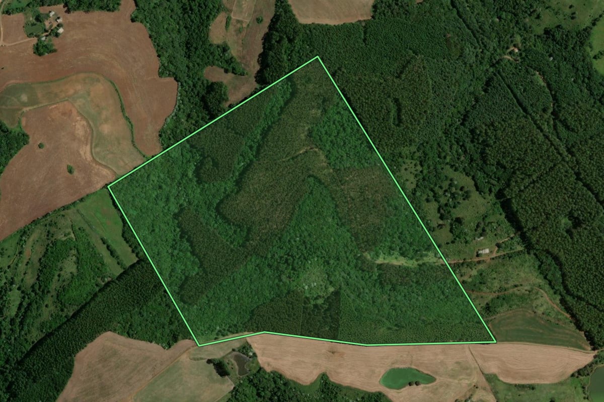 Imagem de satélite do imóvel rural em Enéas Marques (PR), com o contorno declarado no CAR desenhado por cima.