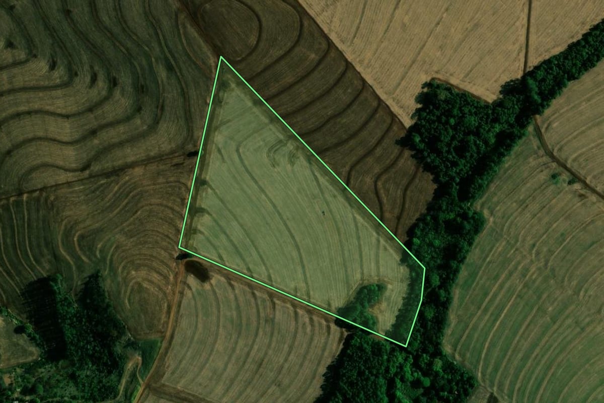Imagem de satélite do imóvel rural em Engenheiro Beltrão (PR), com o contorno declarado no CAR desenhado por cima.