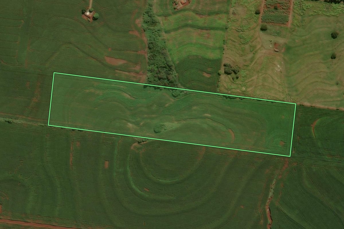 Imagem de satélite do imóvel rural em Engenheiro Beltrão (PR), com o contorno declarado no CAR desenhado por cima.
