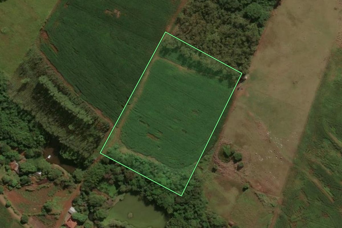 Imagem de satélite do imóvel rural em Engenheiro Beltrão (PR), com o contorno declarado no CAR desenhado por cima.