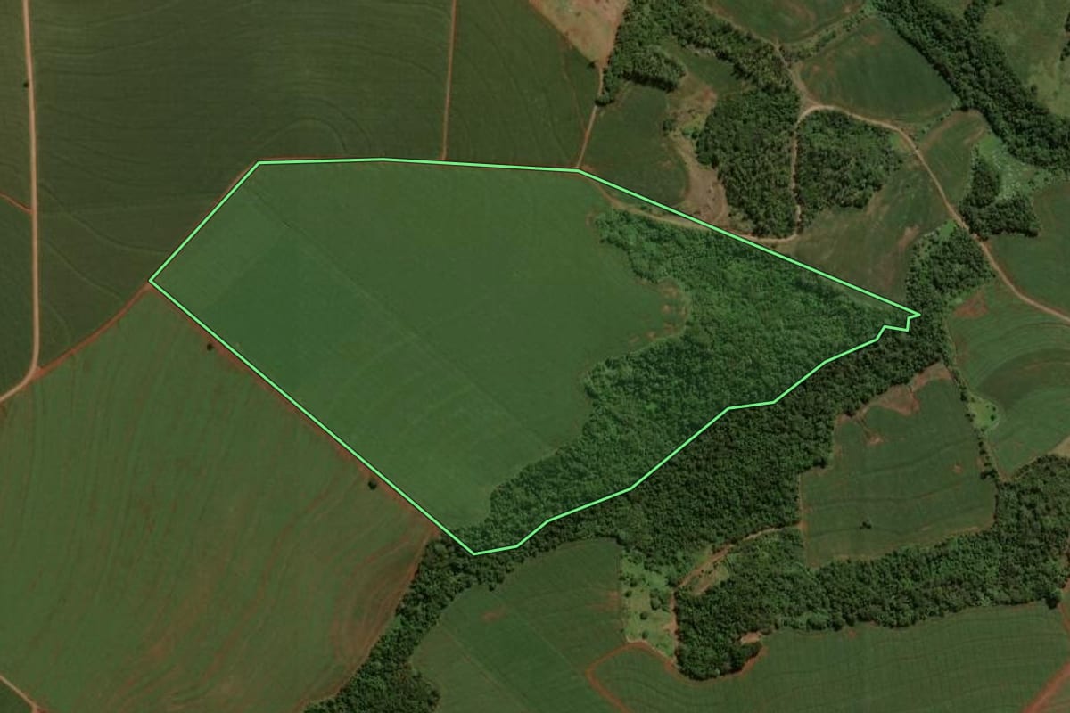 Imagem de satélite do imóvel rural em Engenheiro Beltrão (PR), com o contorno declarado no CAR desenhado por cima.