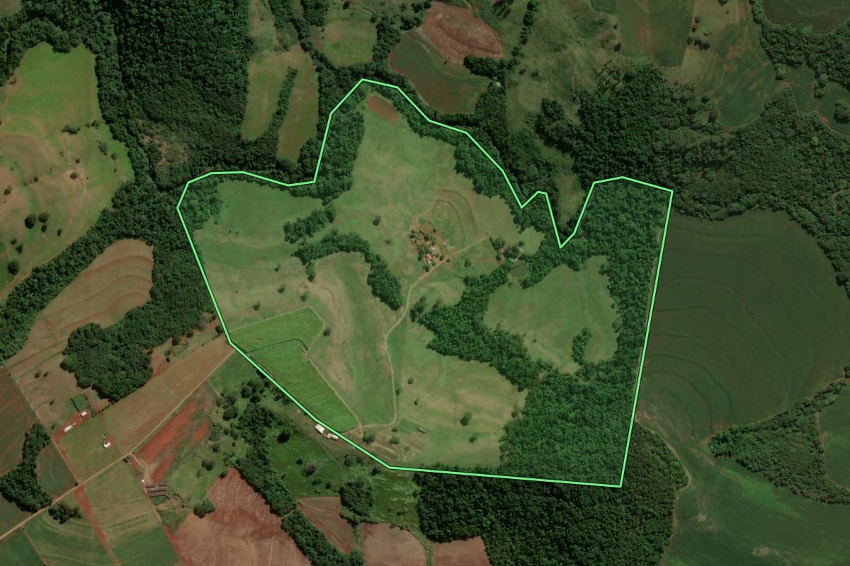 Imagem de satélite do imóvel rural em Engenheiro Beltrão (PR), com o contorno declarado no CAR desenhado por cima.