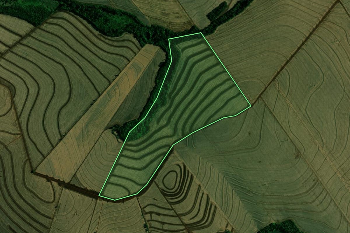 Imagem de satélite do imóvel rural em Engenheiro Beltrão (PR), com o contorno declarado no CAR desenhado por cima.