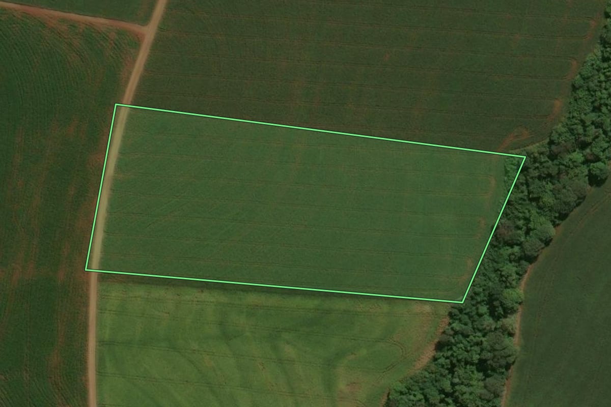 Imagem de satélite do imóvel rural em Engenheiro Beltrão (PR), com o contorno declarado no CAR desenhado por cima.