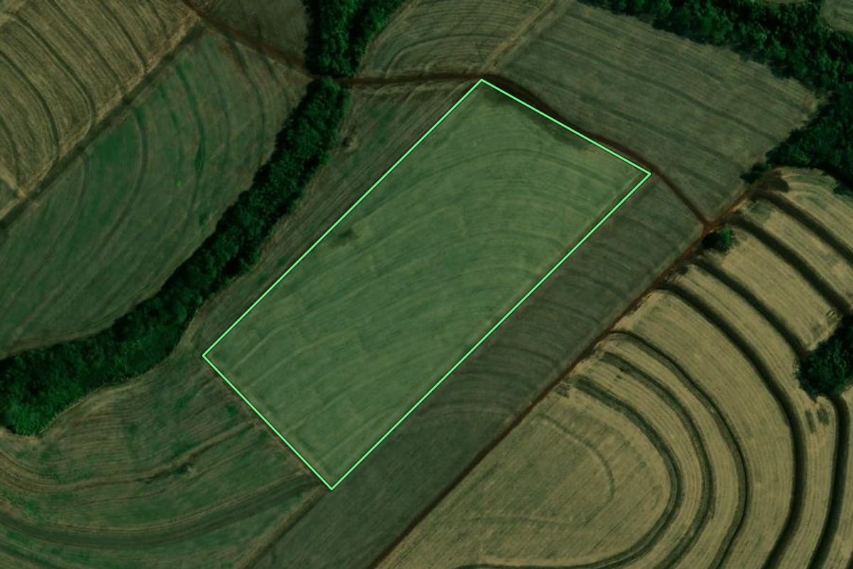Imagem de satélite do imóvel rural em Engenheiro Beltrão (PR), com o contorno declarado no CAR desenhado por cima.