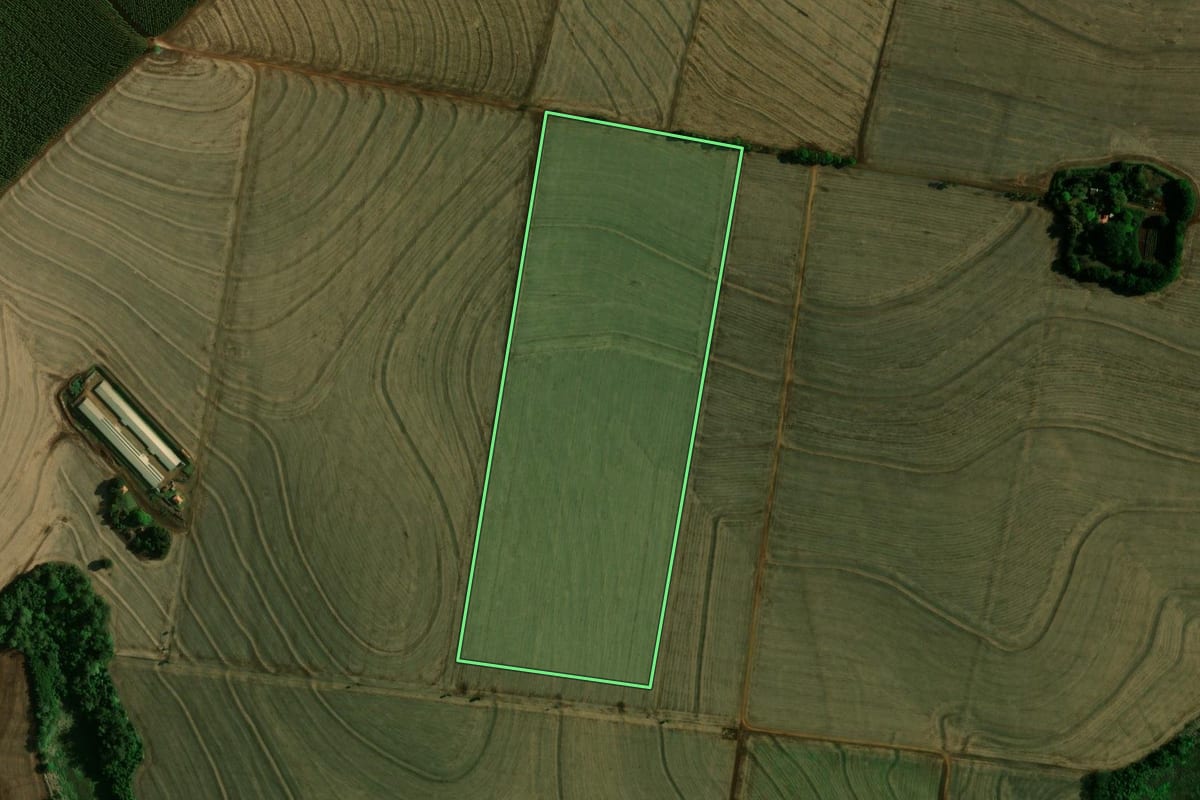Imagem de satélite do imóvel rural em Engenheiro Beltrão (PR), com o contorno declarado no CAR desenhado por cima.