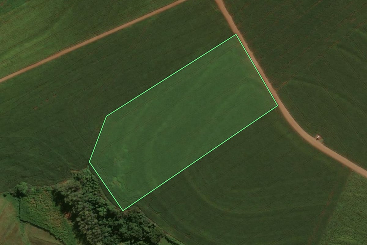 Imagem de satélite do imóvel rural em Engenheiro Beltrão (PR), com o contorno declarado no CAR desenhado por cima.
