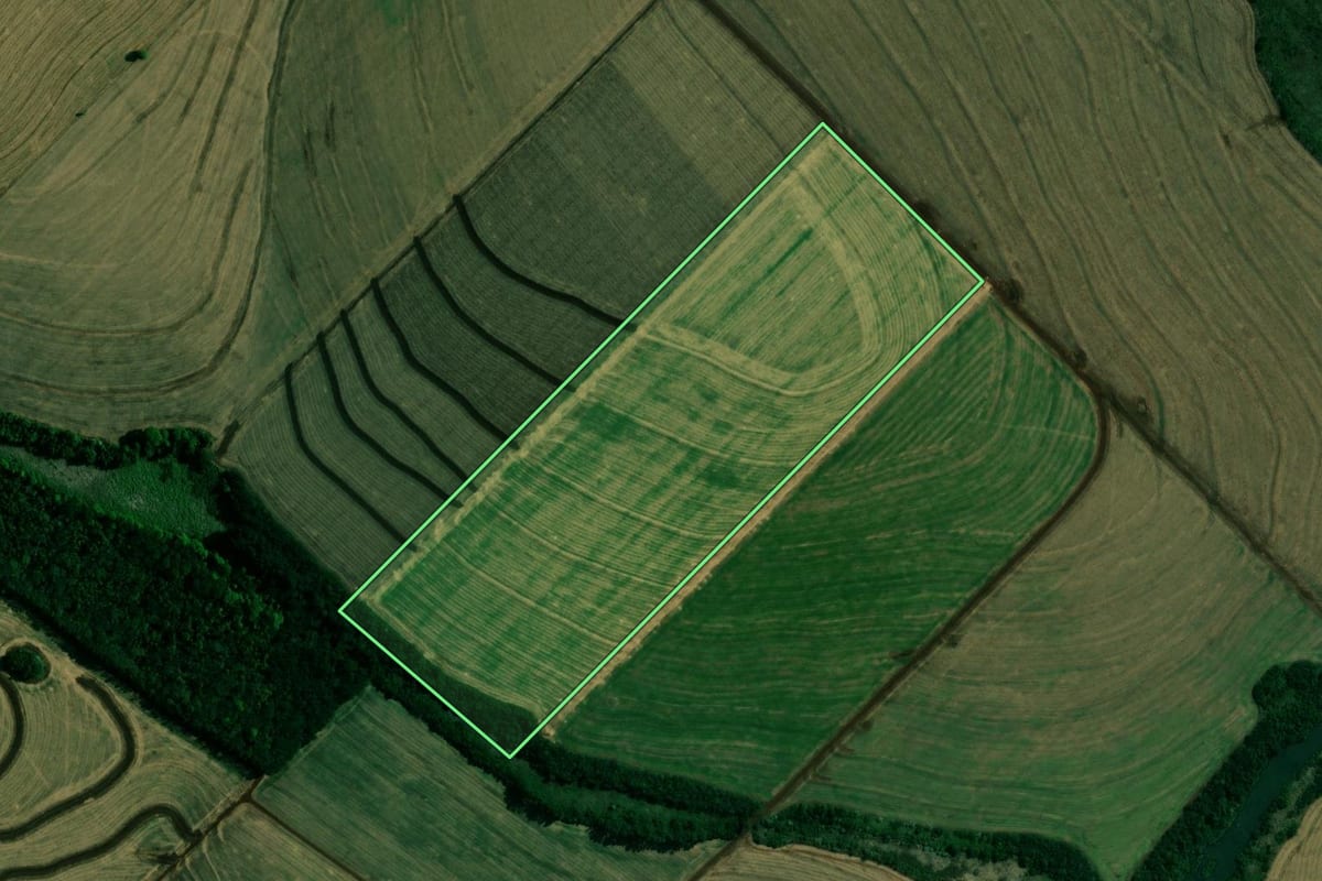 Imagem de satélite do imóvel rural em Engenheiro Beltrão (PR), com o contorno declarado no CAR desenhado por cima.
