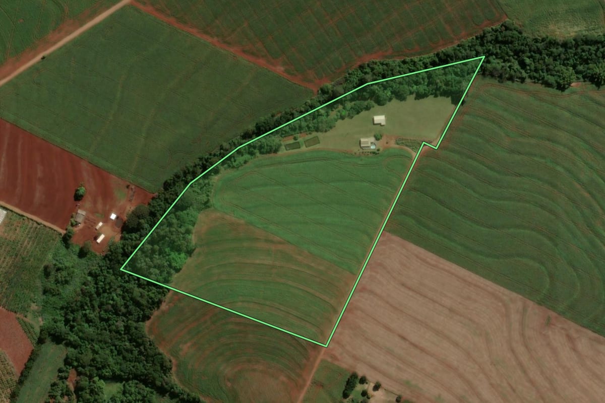 Imagem de satélite do imóvel rural em Engenheiro Beltrão (PR), com o contorno declarado no CAR desenhado por cima.