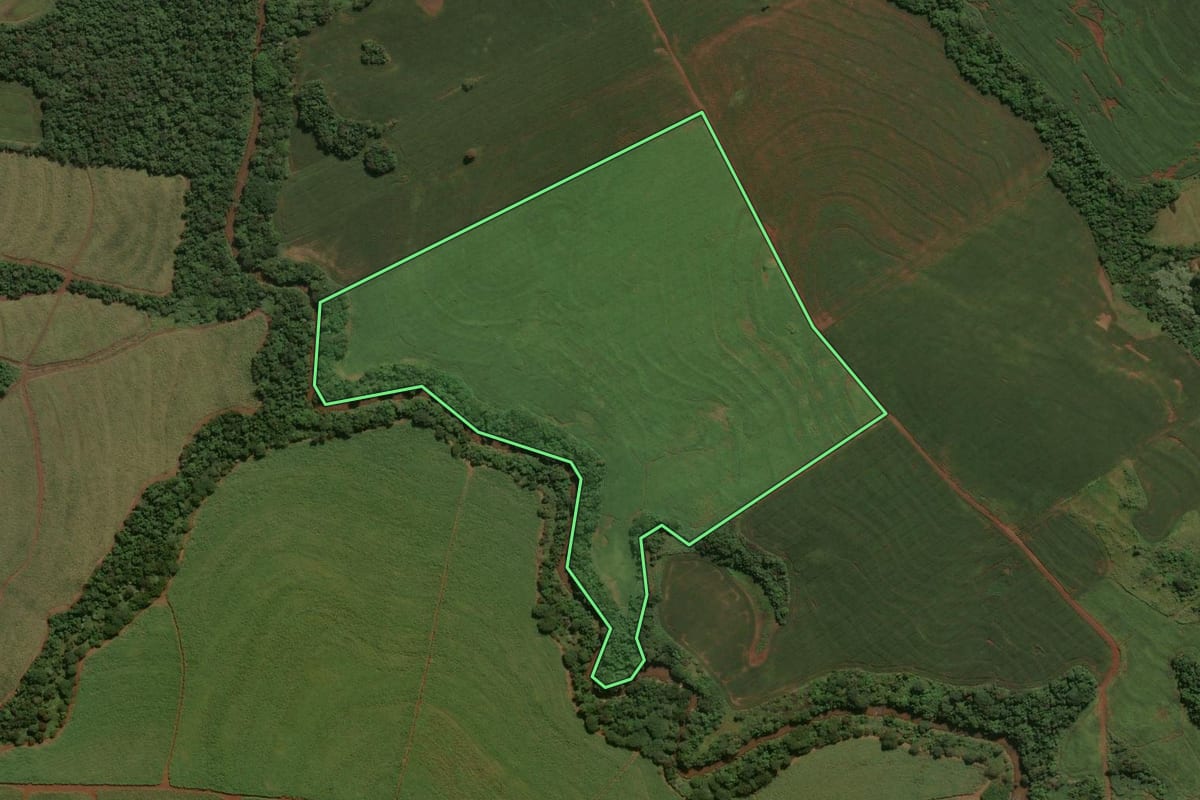 Imagem de satélite do imóvel rural em Engenheiro Beltrão (PR), com o contorno declarado no CAR desenhado por cima.
