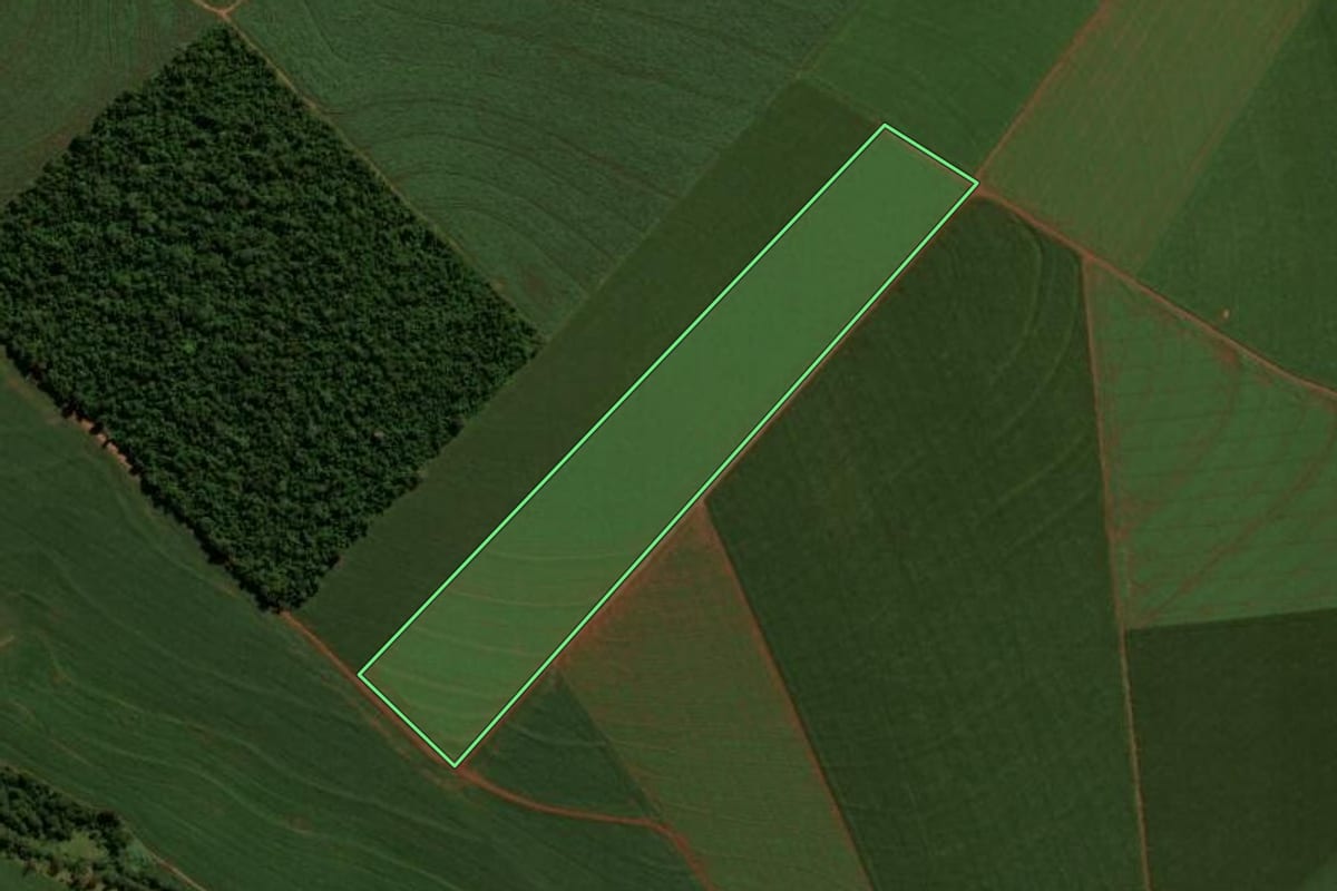 Imagem de satélite do imóvel rural em Engenheiro Beltrão (PR), com o contorno declarado no CAR desenhado por cima.
