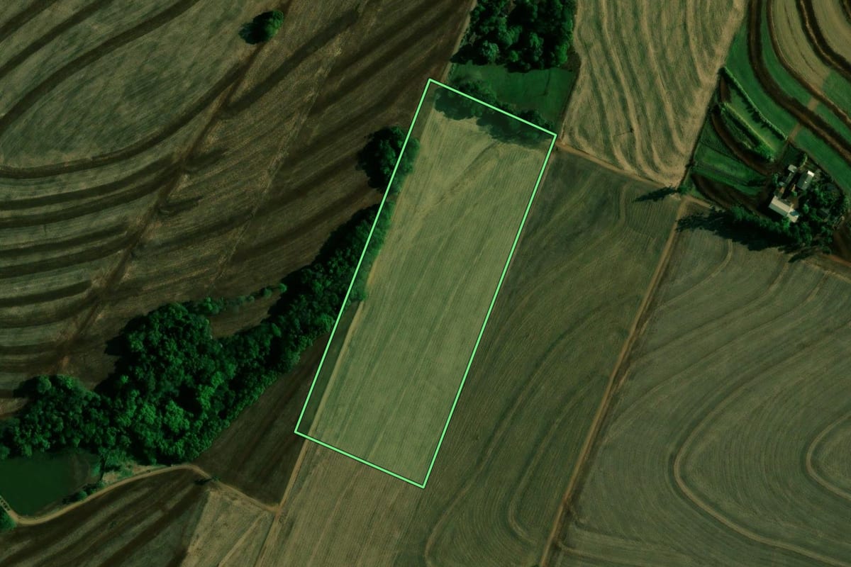 Imagem de satélite do imóvel rural em Engenheiro Beltrão (PR), com o contorno declarado no CAR desenhado por cima.