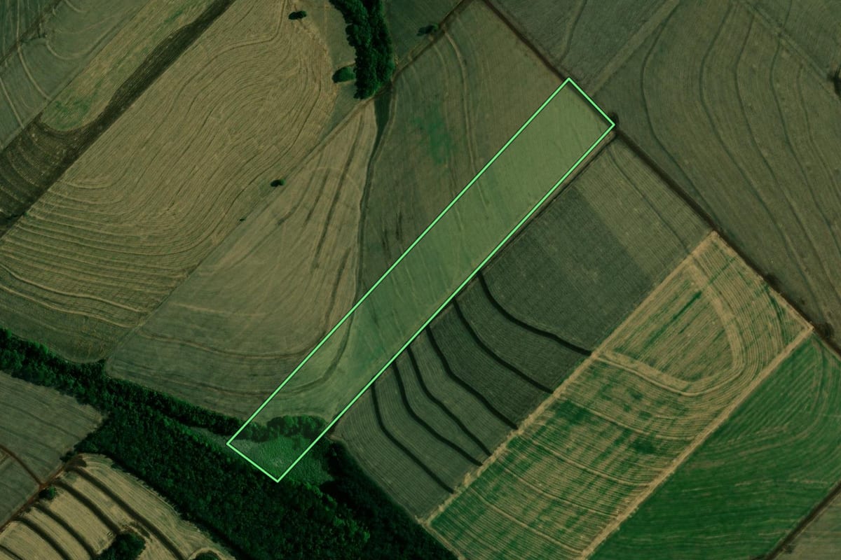 Imagem de satélite do imóvel rural em Engenheiro Beltrão (PR), com o contorno declarado no CAR desenhado por cima.