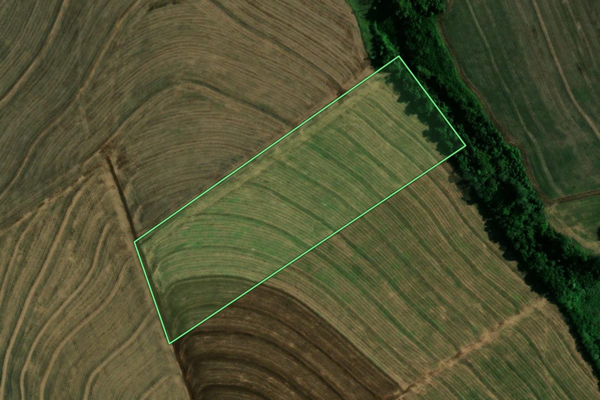 Imagem de satélite do imóvel rural em Engenheiro Beltrão (PR), com o contorno declarado no CAR desenhado por cima.